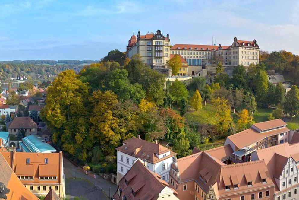 Apartment Altstadt Pirna Eksteriør billede